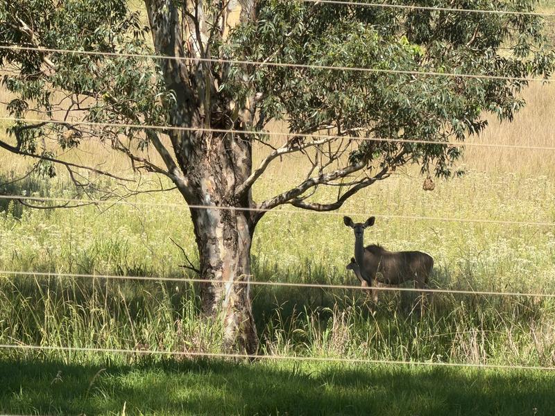 70 Bedroom Property for Sale in Middelburg Eastern Cape